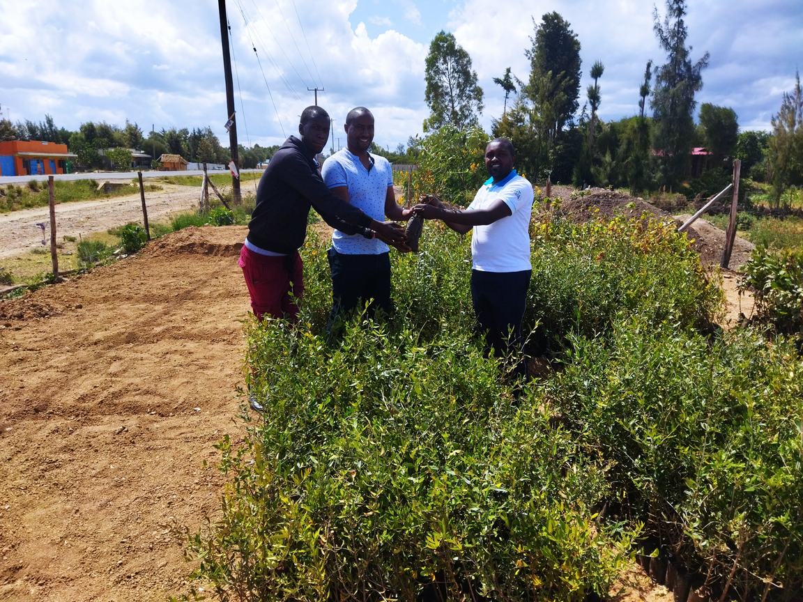 Seedlings being handed over beside a bed of nursery stock at the community fruit tree nursery